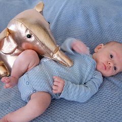 IMG 564